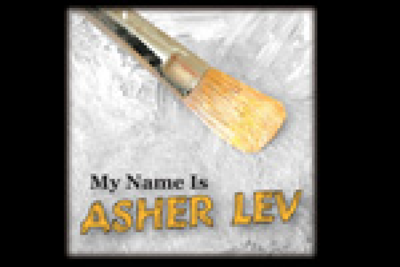 my name is asher lev logo 8772