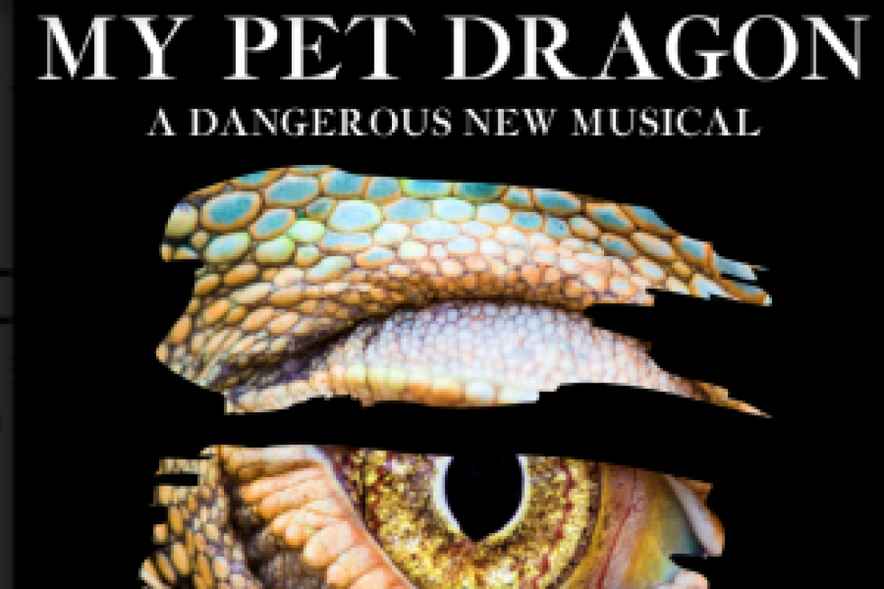 my pet dragon logo 95463 1