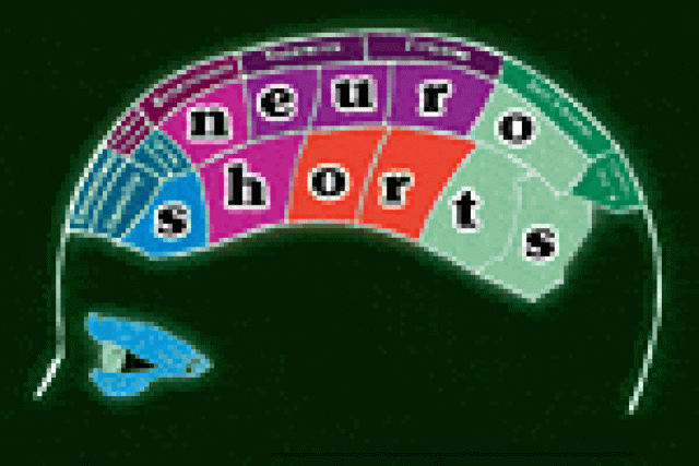 neuroshorts neurofest logo 28609