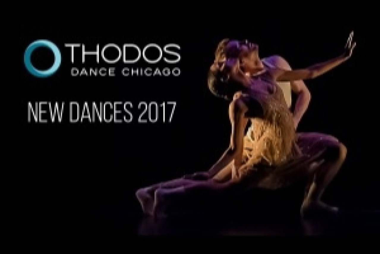 new dances 2017 logo 66261