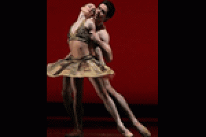 Northrop Dance Presents Houston Ballet