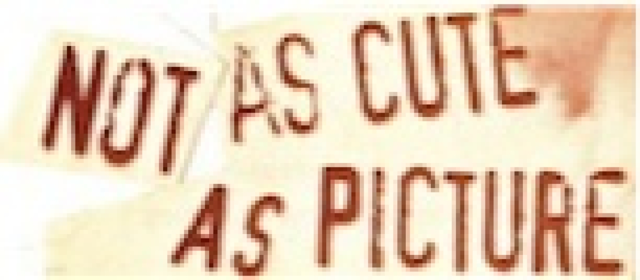not as cute as picture logo 4838