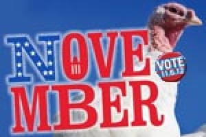 november logo 13891