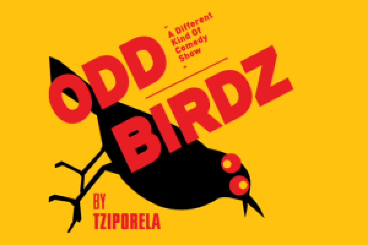 odd birdz logo 48917