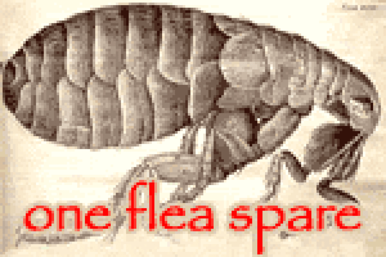 one flea spare logo 27952