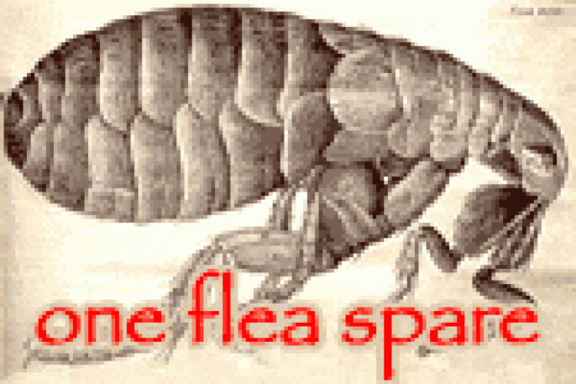 one flea spare logo 27952
