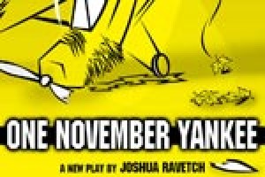 One November Yankee