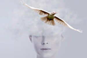 One White Crow