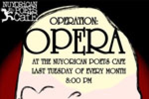 Operation Opera