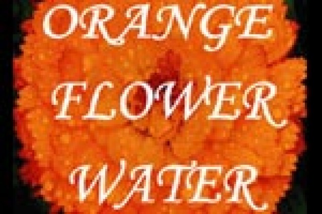 orange flower water logo 21664