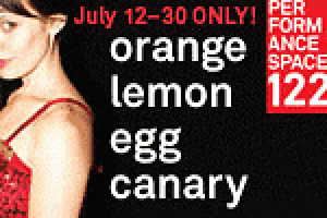 orange lemon egg canary logo 28423