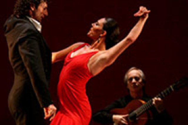 paco pea flamenco logo 50044