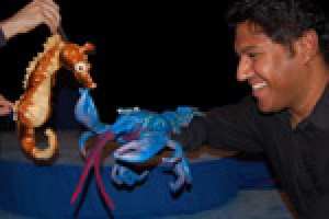 Pascal’s Aquarium