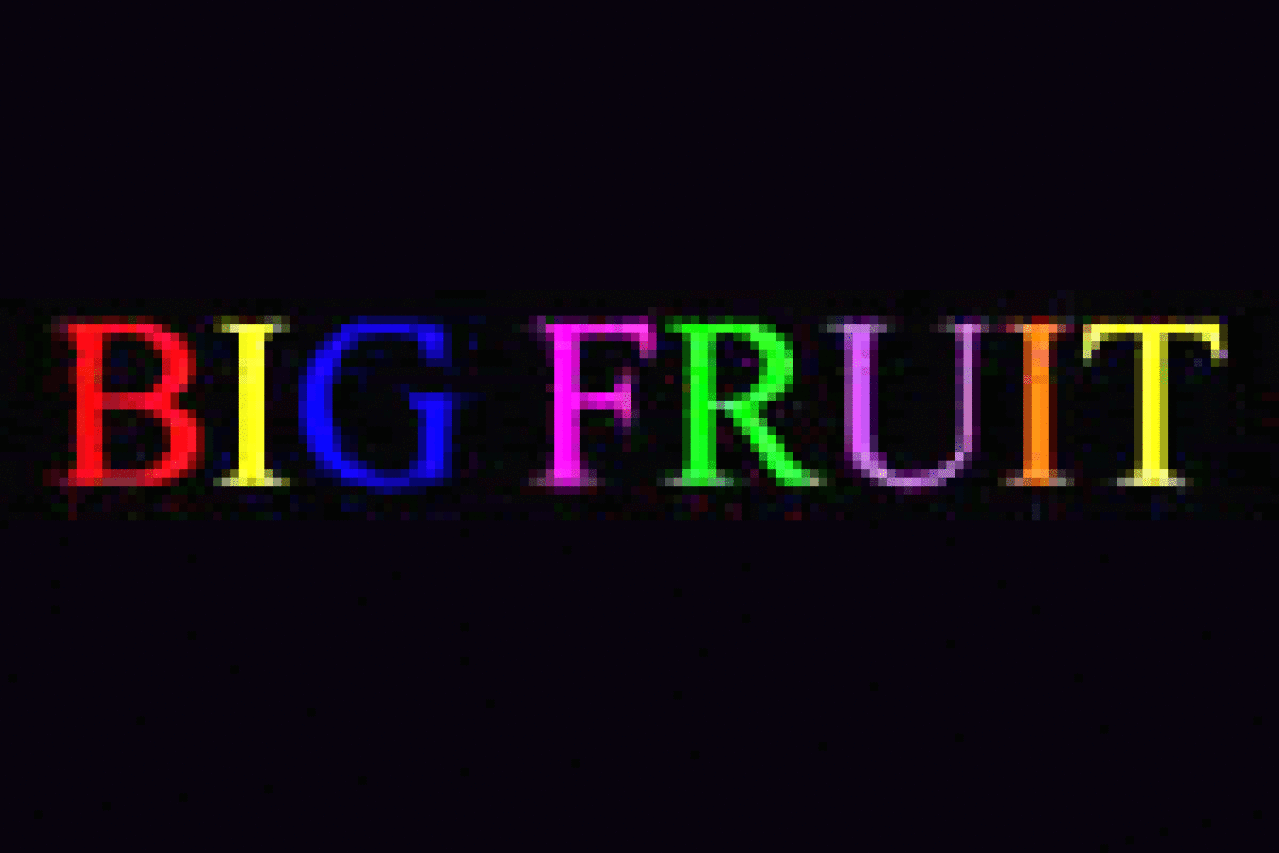 paul l martin big fruit logo 29457