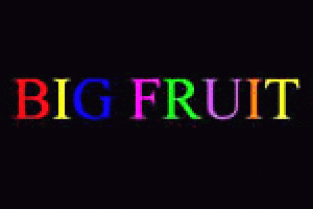 paul l martin big fruit logo 29457
