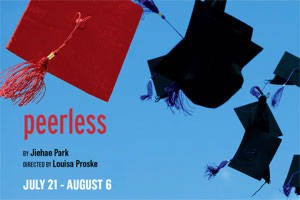 peerless logo 56221 1