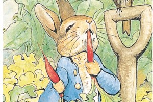 PETER RABBIT AND ME