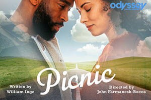 Picnic