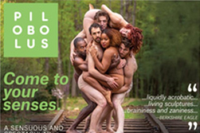 pilobolus come to your senses logo 88395