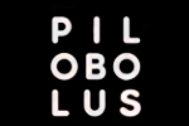 pilobolus dance theatre logo 9334