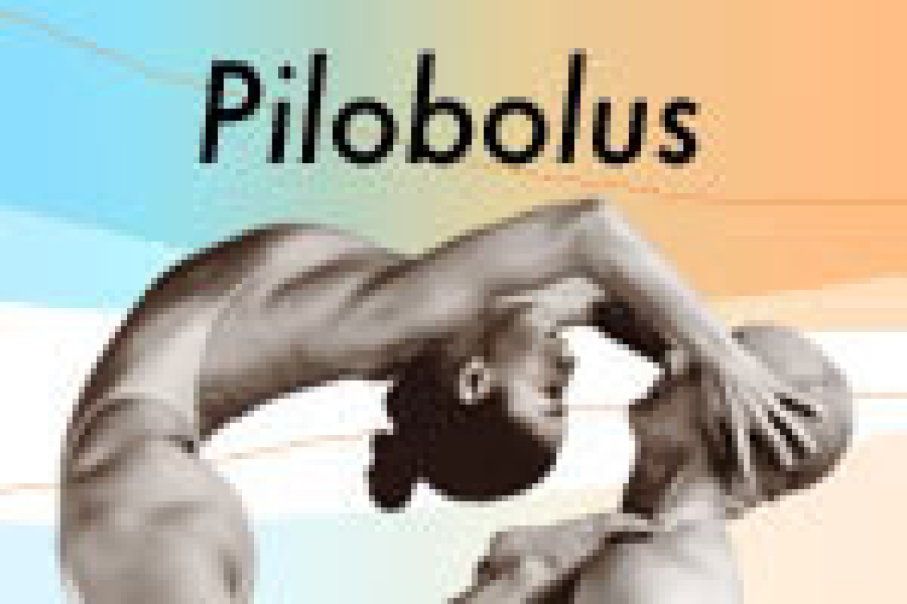 pilobolus logo 27839