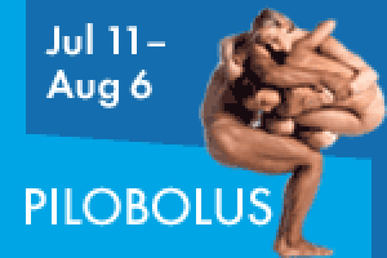 pilobolus logo 29353