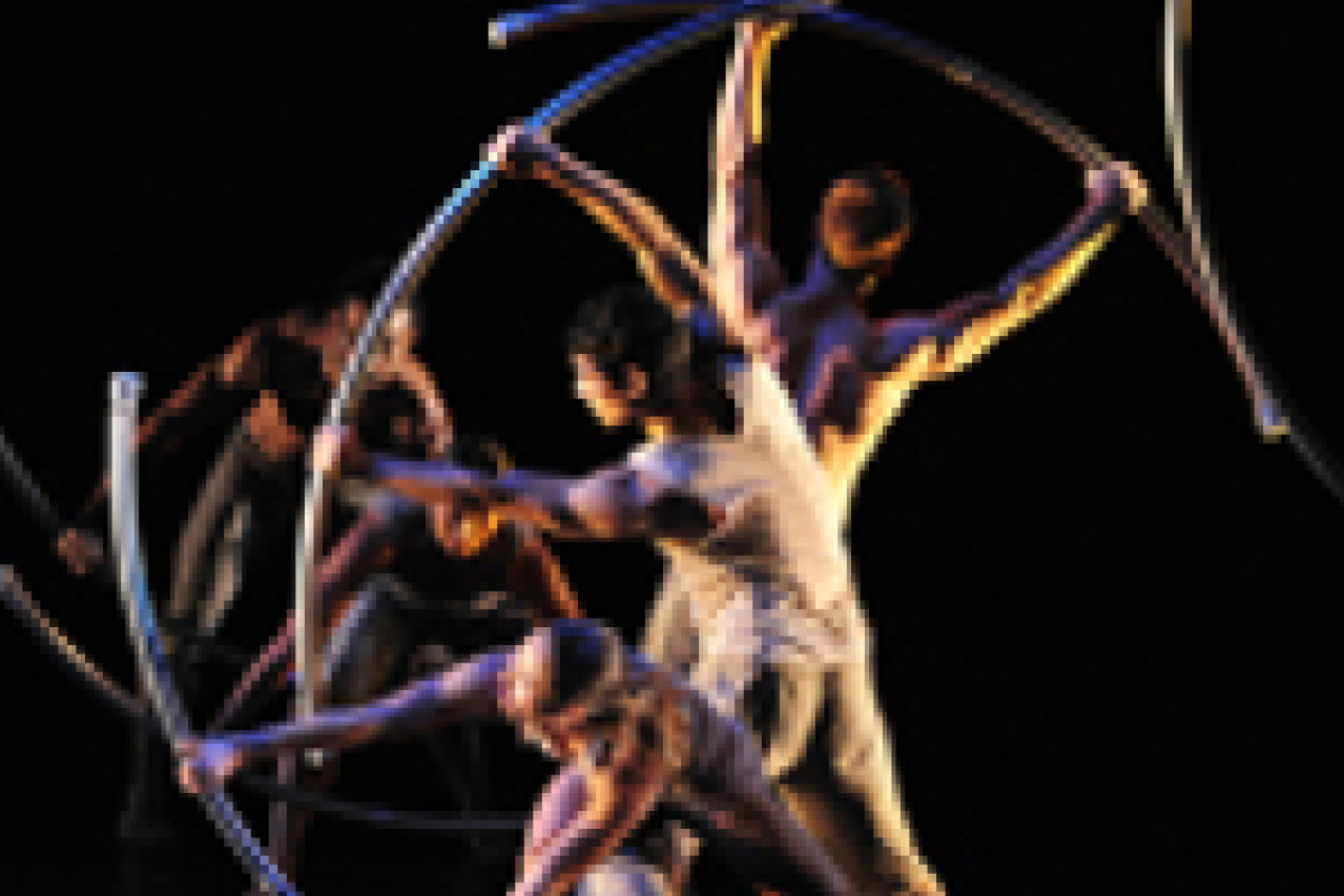 pilobolus logo 38802