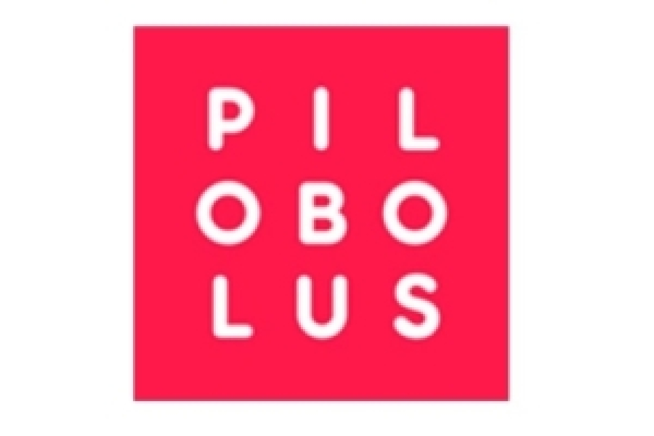 pilobolus logo 49356