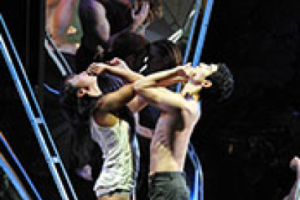 Pilobolus