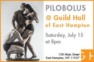 Pilobolus
