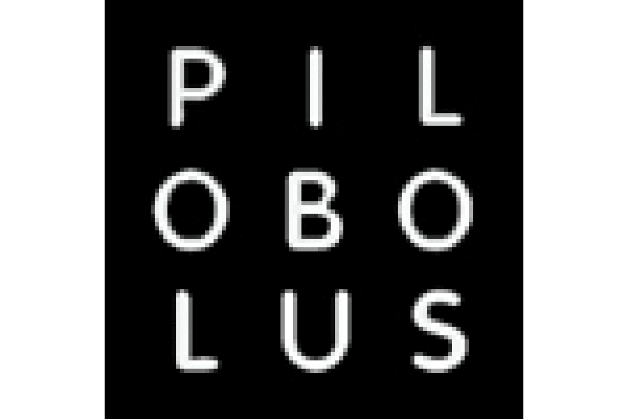pilobolus logo 6986