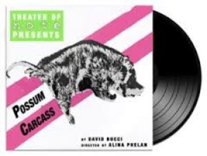 Possum Carcass