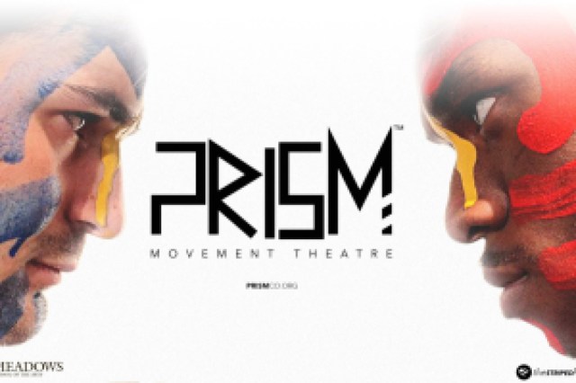 prism logo 46479