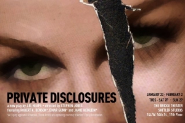 private disclosures logo 35676