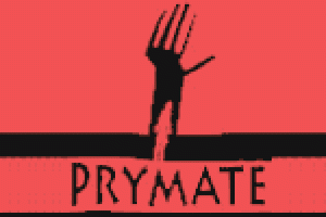 Prymate