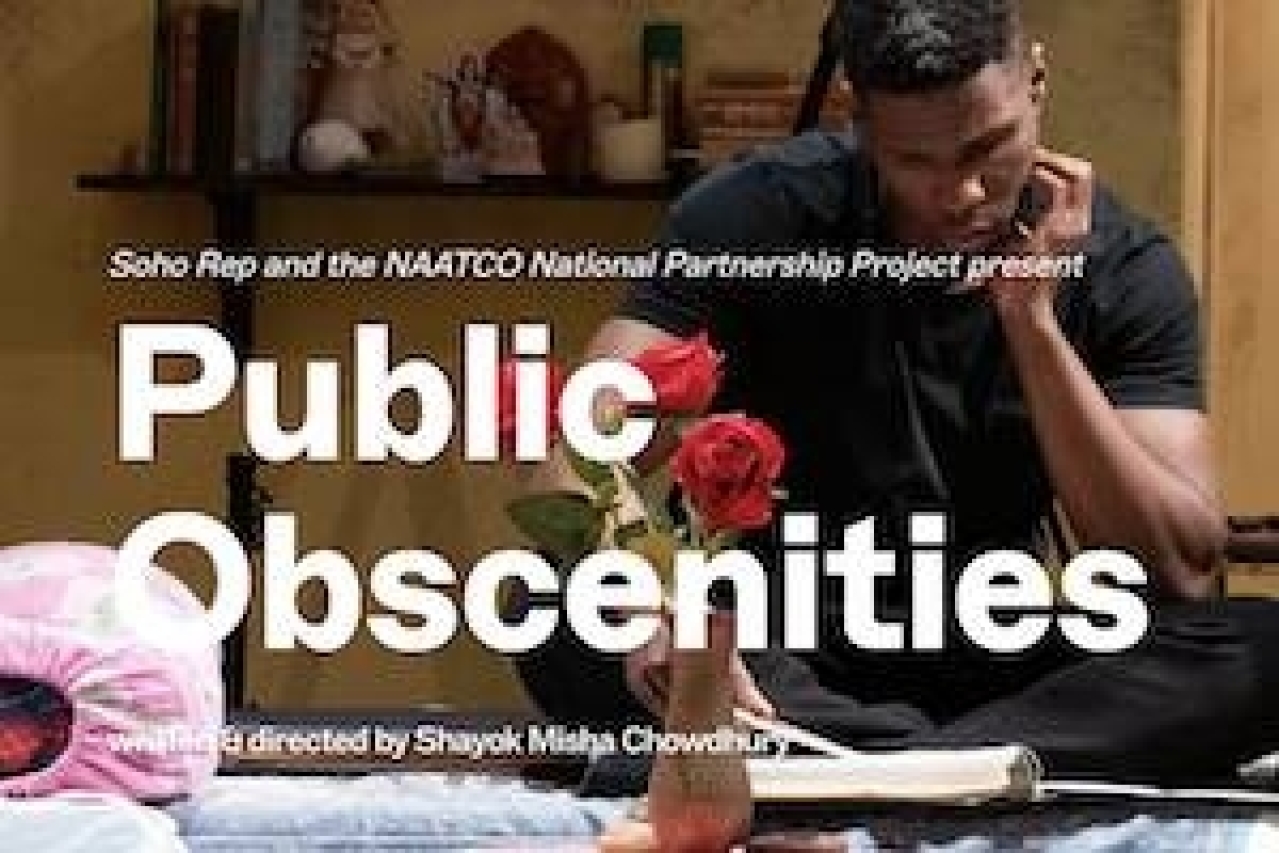 public obscenities logo 99261 1