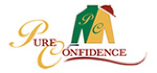 pure confidence logo 26933