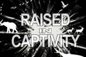 Raised In Captivity