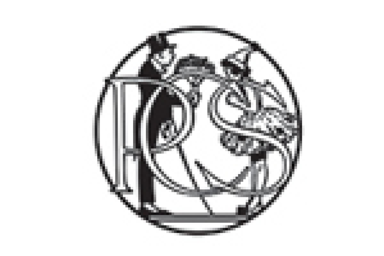 rapunzel logo 14322