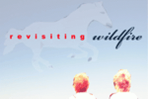 Revisiting Wildfire