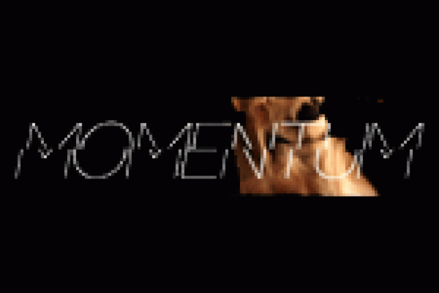 river north dance chicago fall engagement momentum logo 6462