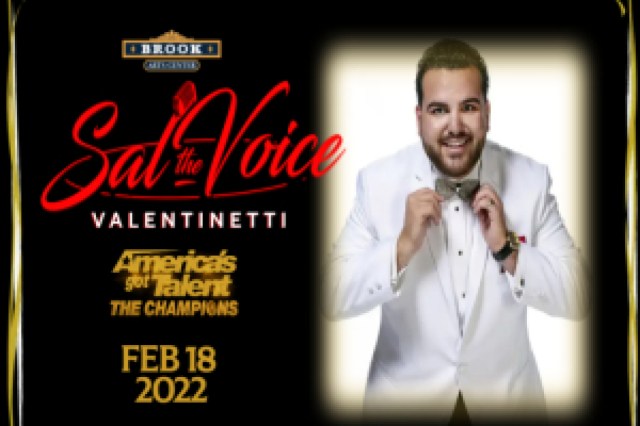 sal the voice valentinetti logo 95033 1