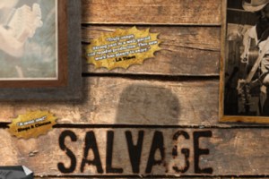 Salvage