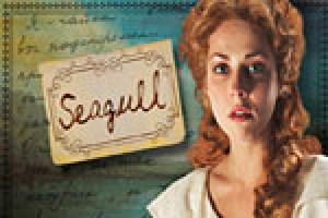 Seagull