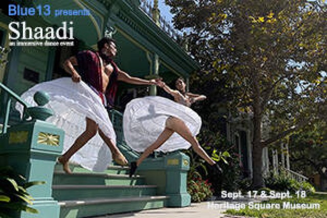 shaadi logo 93844