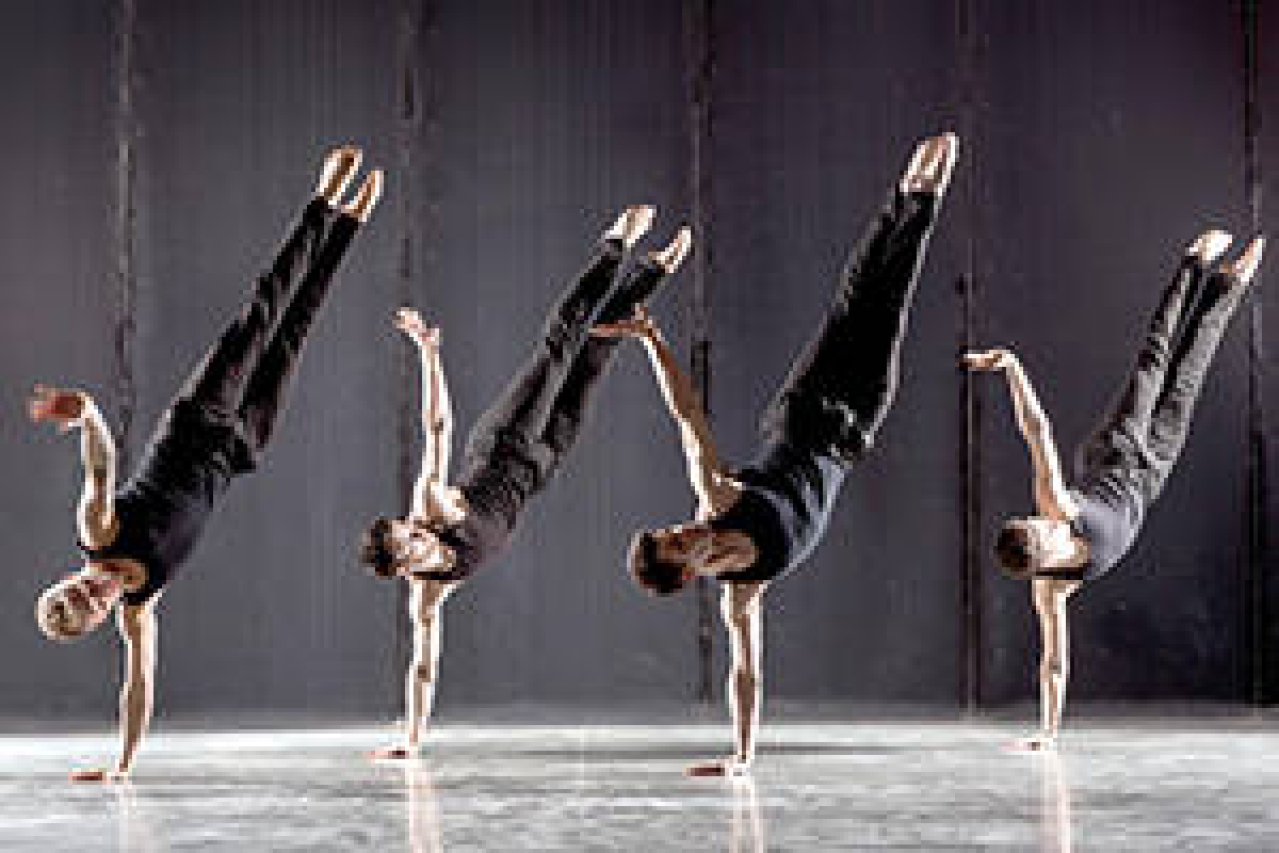 shaping sound dance company logo 39108