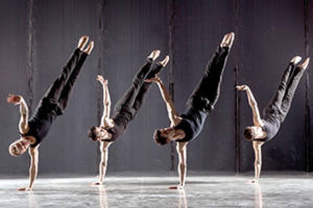 shaping sound dance company logo 39108