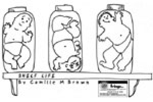 Shelf Life