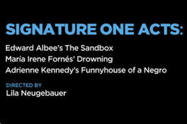 signature plays the sandbox drowning funnyhouse of a negro logo 46775