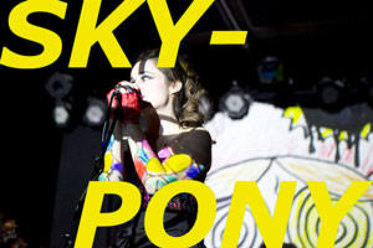 skypony logo 39843